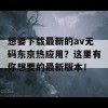 想要下载最新的av无码东京热应用？这里有你想要的最新版本！