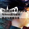 刀剑神域序列之争彩蛋与Boss战斗解析：挑战与策略分享