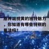 原神胡桃黄的独特魅力，你知道有哪些特别的用法吗？