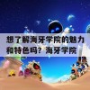 想了解海牙学院的魅力和特色吗？海牙学院