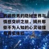 男调教男的隐秘世界与情感交织之旅，揭开那些不为人知的心灵碰撞与真实体验