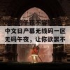 晚上的午夜不容错过，中文日产幕无线码一区无码午夜，让你欲罢不能！