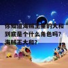 你知道海贼王里的大和到底是个什么角色吗？海贼王大和？