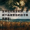 王爷在花园含乳铁，悠闲下品茶赏花的日子真是惬意！