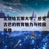 走进哈瓦那大学，感受古巴的教育魅力与校园风情