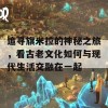 追寻旗米拉的神秘之旅，看古老文化如何与现代生活交融在一起