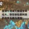 亚洲午夜成人精品无码毛片，带你体验最刺激的夜晚乐趣与激情！