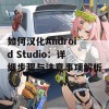 如何汉化Android Studio：详细步骤与注意事项解析