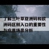 了解三叶草亚洲码和欧洲码区别入口的重要性与应用场景分析