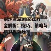 崩坏三深渊Boss战全解析：技巧、策略与精彩视频分享