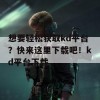 想要轻松获取kd平台？快来这里下载吧！kd平台下载