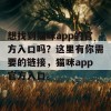 想找到猫咪app的官方入口吗？这里有你需要的链接，猫咪app官方入口。