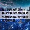 茄子视频破解版app在线下载污午夜版让你尽享无尽精彩视频体验与无限乐趣