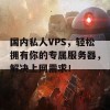 国内私人VPS，轻松拥有你的专属服务器，解决上网需求！