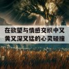 在欲望与情感交织中又黄又深又猛的心灵碰撞