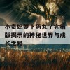 小贵妃萝卜药丸了完结版揭示的神秘世界与成长之路