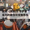 提升《激战2》守护者实力的最佳符文推荐与分析