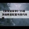 《道友请留步》55级顶级阵容配置与技巧攻略