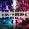 雷电将军在原神中该怎么应对？来看看原神的雷电将军怎么打！