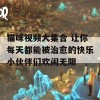 猫咪视频大集合 让你每天都能被治愈的快乐小伙伴们欢闹无限