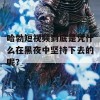 哈勃短视频到底是凭什么在黑夜中坚持下去的呢？