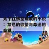 太子在佛堂破戒的小说：禁忌的欲望与命运的交错