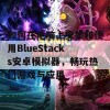 如何在电脑上安装和使用BlueStacks安卓模拟器，畅玩热门游戏与应用