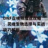 DNF召唤师加点攻略：灵魂生物选择与实战技巧解析