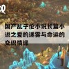 国产乱子伦小说长篇小说之爱的迷雾与命运的交织情缘