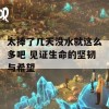 太捧了几天没水就这么多吧 见证生命的坚韧与希望