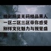 精彩纷呈无码精品黑人一区二区三区带你感受别样文化魅力与视觉盛宴