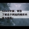 tube8中国，带你了解这个网站的精彩内容与特色！