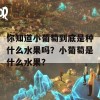 你知道小葡萄到底是种什么水果吗？小葡萄是什么水果？