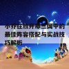 小乔在放开那三国中的最佳阵容搭配与实战技巧解析