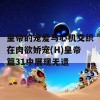 皇帝的宠爱与心机交织在肉欲娇宠(H)皇帝篇31中展现无遗