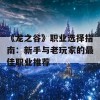 《龙之谷》职业选择指南：新手与老玩家的最佳职业推荐