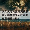 久久久毛片无码免费收看，尽情享受无广告的免费观看体验！