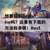 想要获取Bestview吗？这里有下载的方法和步骤！Bestview下载