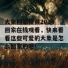 大象回家视频2024回家在线观看，快来看看这些可爱的大象是怎么回家的吧！