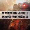 想知道樱桃网络到底代表啥吗？樱桃网络含义