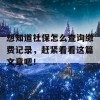 想知道社保怎么查询缴费记录，赶紧看看这篇文章吧！