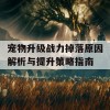 宠物升级战力掉落原因解析与提升策略指南