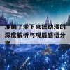 准确了坐下来摇动漫的深度解析与观后感悟分享