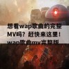 想看wap歌曲的完整MV吗？赶快来这里！wap歌曲mv完整版