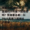 想要获取GitHub直播的小奶猫下载链接吗？快来看这里！GitHub直播下载地址小奶猫