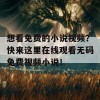 想看免费的小说视频？快来这里在线观看无码免费视频小说！