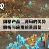 国精产品灬源码的优势解析与应用前景展望