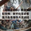 《海贼王启航》阵容搭配攻略：新手玩家必看强力角色推荐与实战经验分享