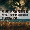 细说日剧美丽的他原著小说，从免费阅读到精彩回顾全解读