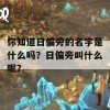 你知道日偏旁的名字是什么吗？日偏旁叫什么呢？